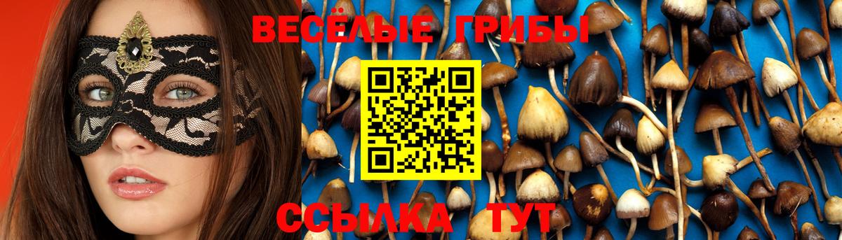 Псилоцибиновые грибы Psilocybe  Вход с VPN  Дальнегорск 